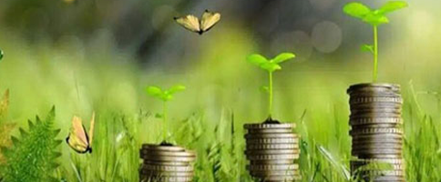 CDCS Farmers Academy