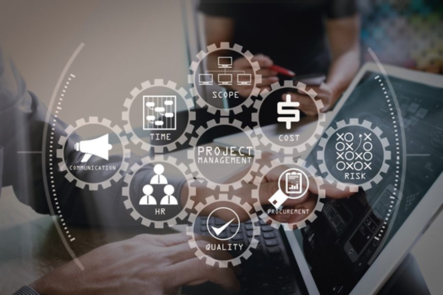 Project Management Advisory