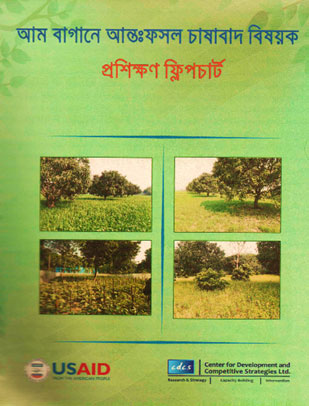 Publication Image